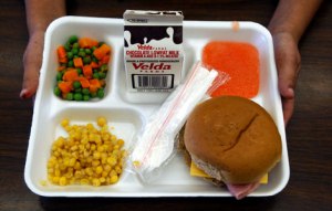 school-lunch-tray-lg