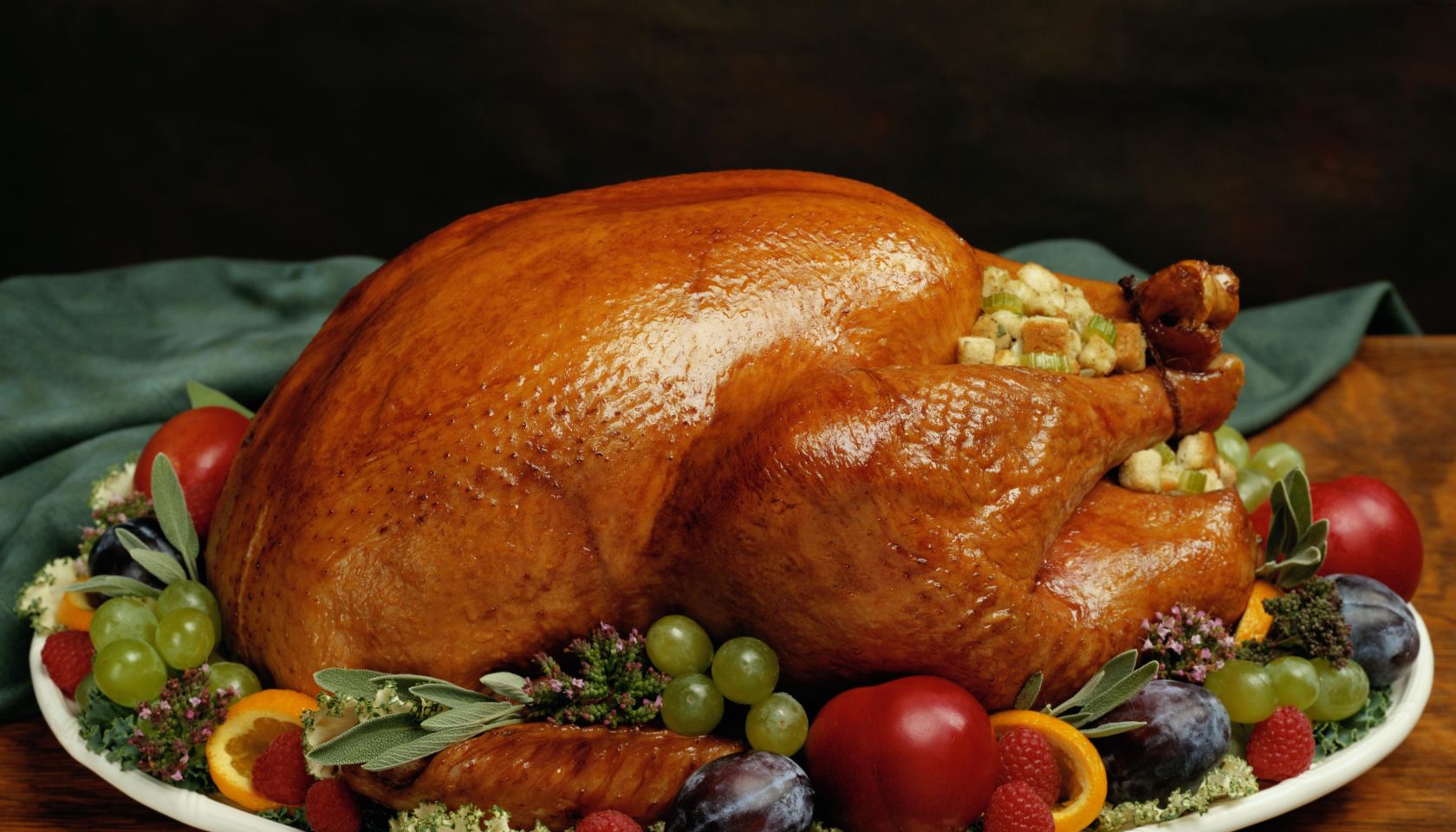 Holiday Turkey