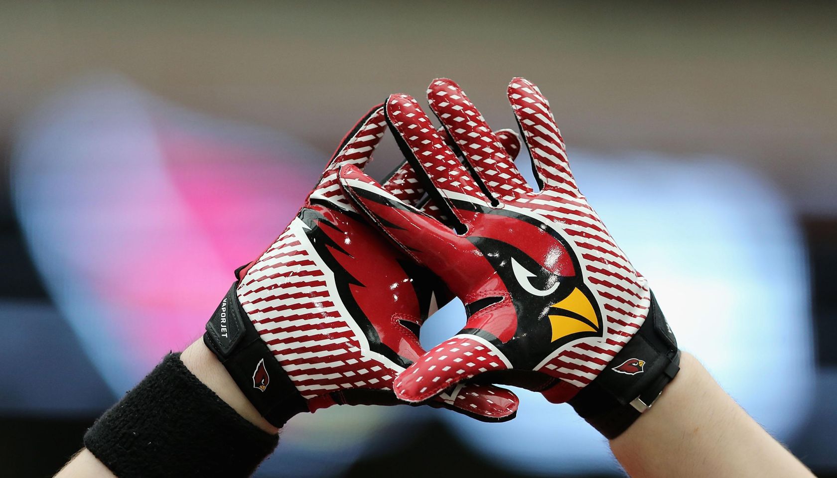 Arizona Cardinals Training Camp