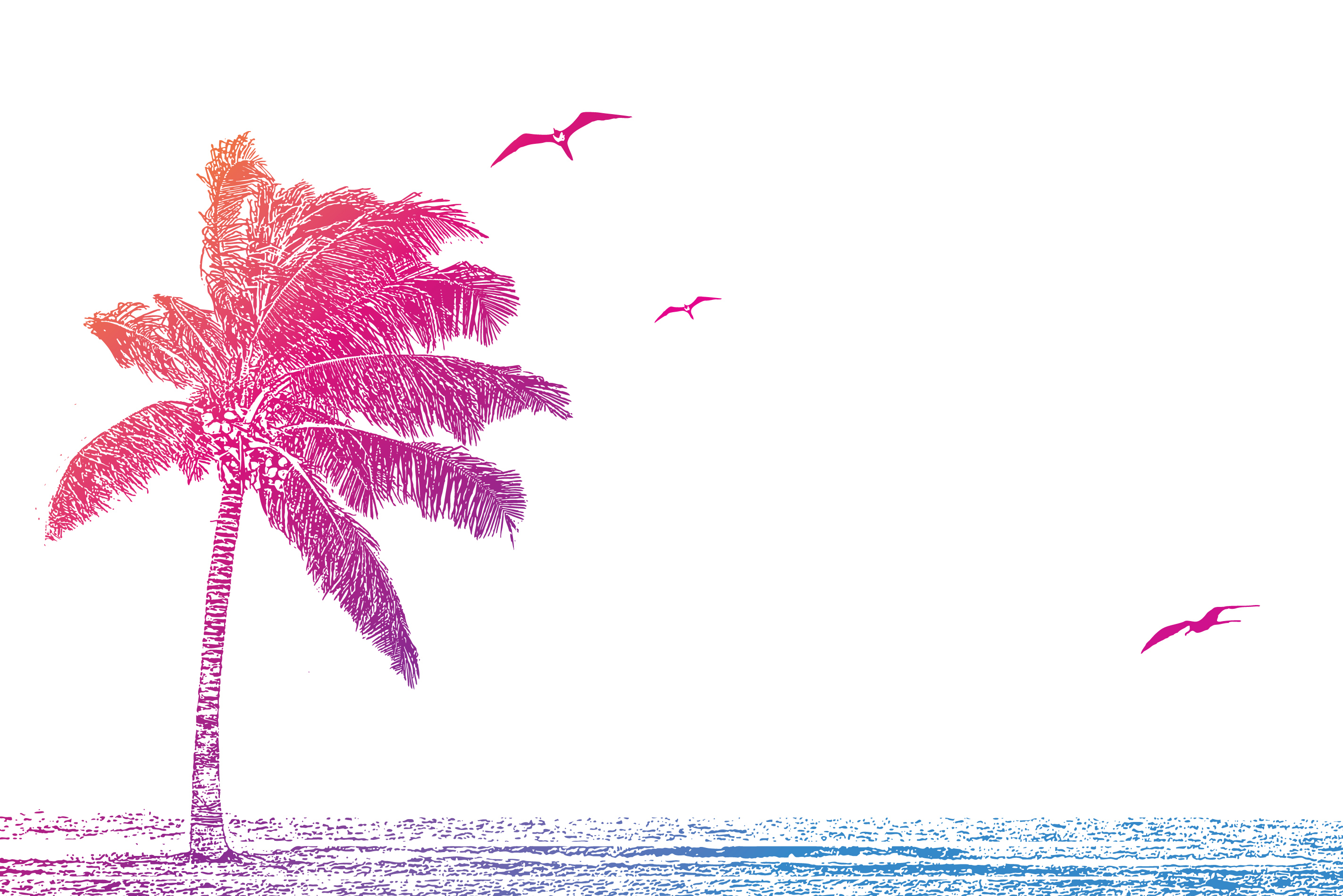 Mezzotint illustration of a Caribbean beach with palm tree