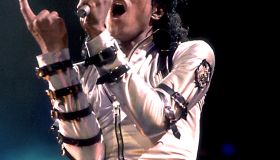 Michael Jackson At The Rosemont Horizon