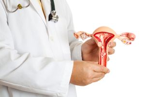 Doctor holding uterus model