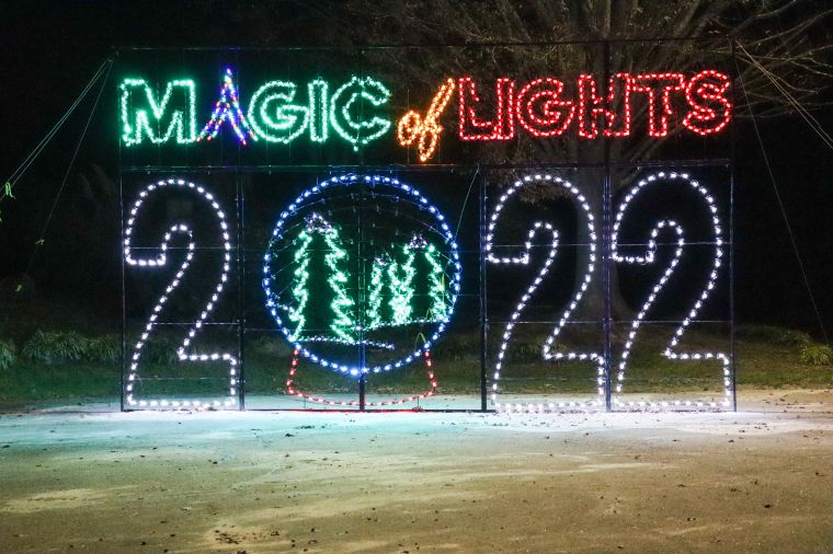 Magic of Lights