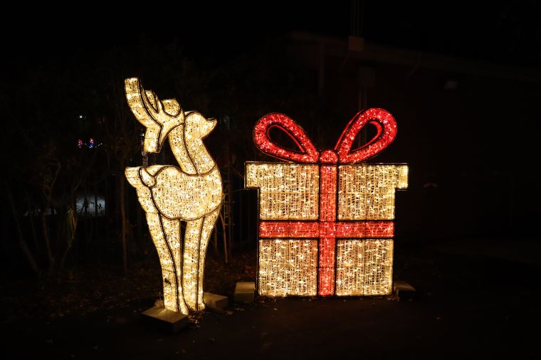 2022 Magic of Lights