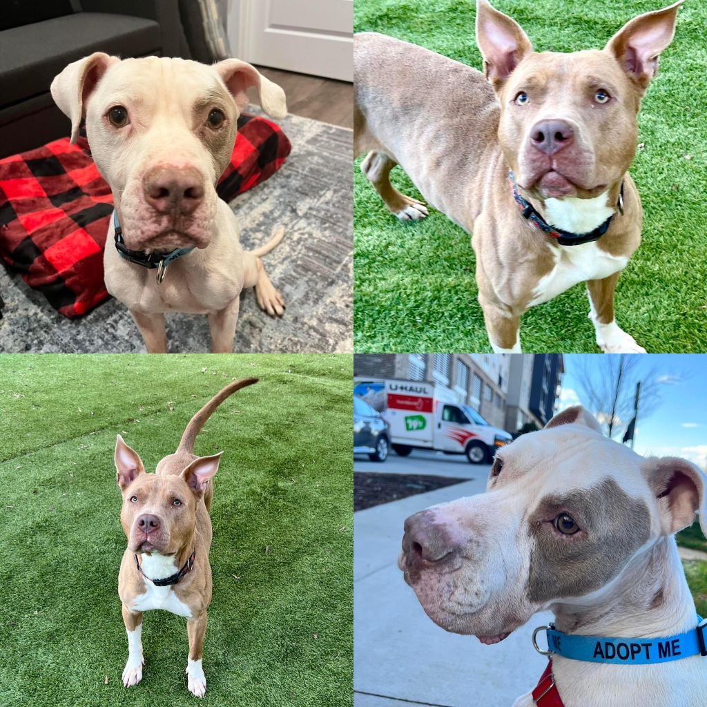 Louie&Margo